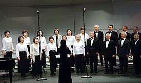Japanese Festival